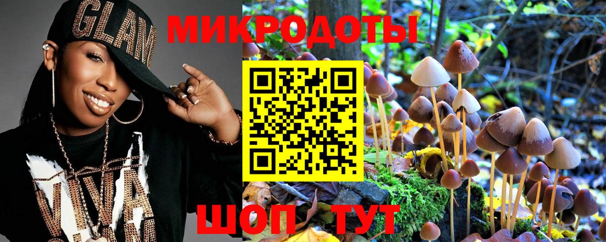 Псилоцибиновые грибы Psilocybe Кудрово