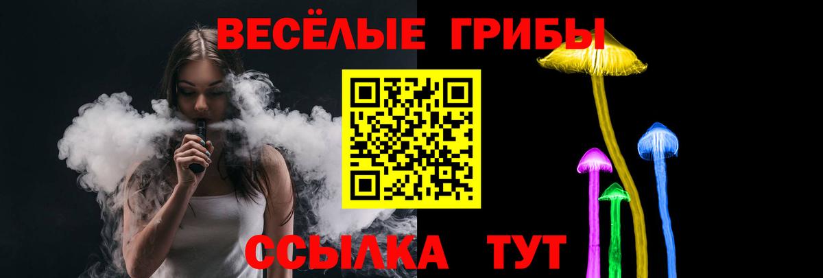 где купить наркоту  Галлюциногенные грибы ЛСД  Вход с VPN  Кудрово  Галлюциногенные грибы Cubensis 